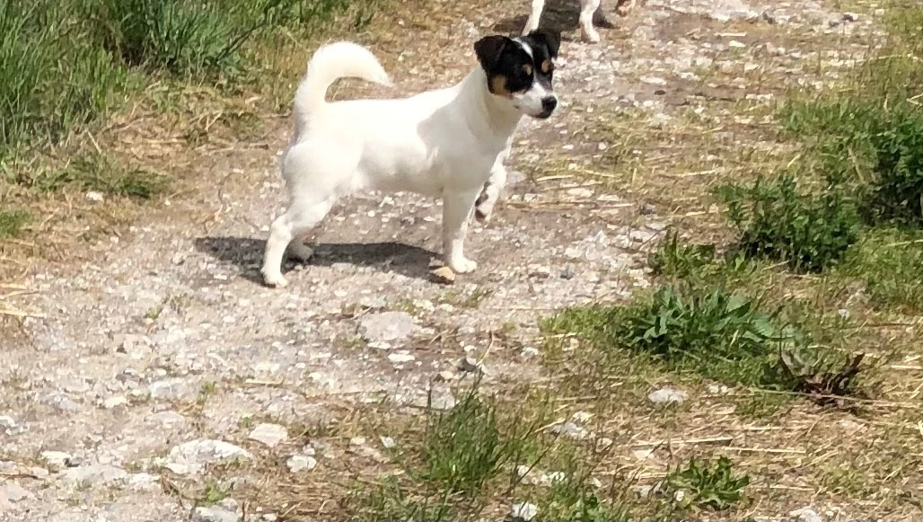 Rimmel  of Spirit Mountain